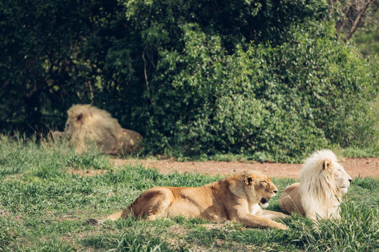 Sofala Lodge Mokopane Eksteriør bilde