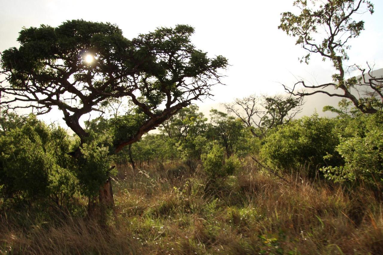 Sofala Lodge Mokopane Eksteriør bilde